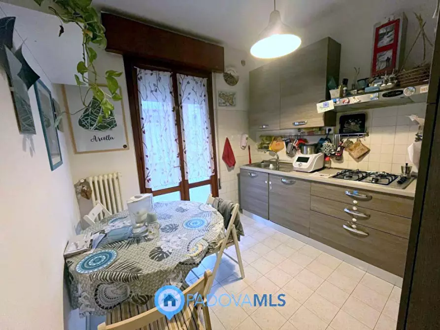 Immagine 5 di Appartamento in vendita  in Via Donato Bramante a Padova