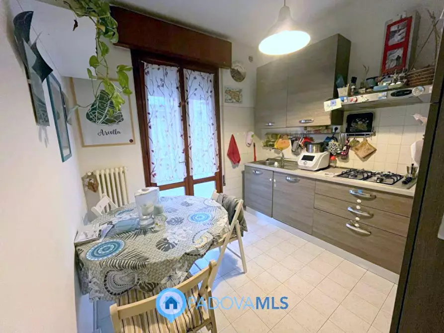 Immagine 6 di Appartamento in vendita  in Via Donato Bramante a Padova