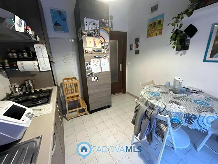 Immagine 8 di Appartamento in vendita  in Via Donato Bramante a Padova