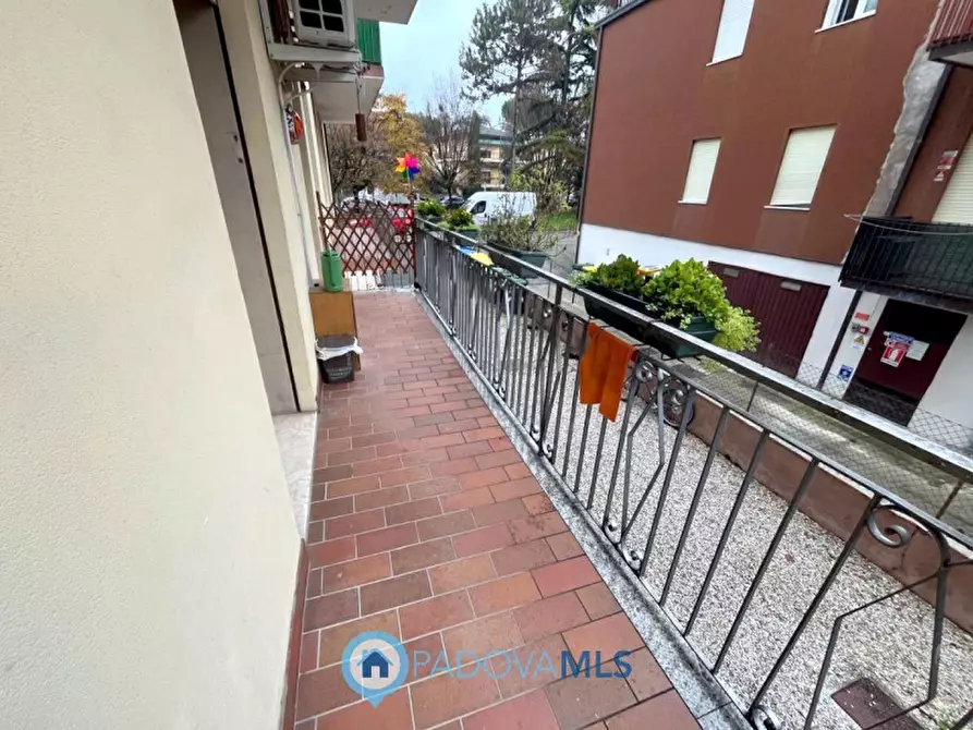Immagine 26 di Appartamento in vendita  in Via Donato Bramante a Padova