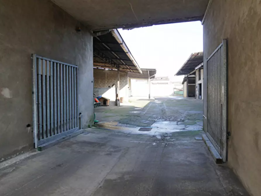 Immagine 7 di Magazzino in vendita  a Arcole