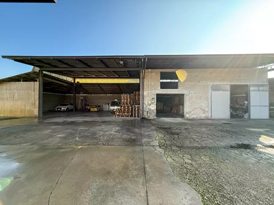 Immagine 12 di Magazzino in vendita  a Arcole