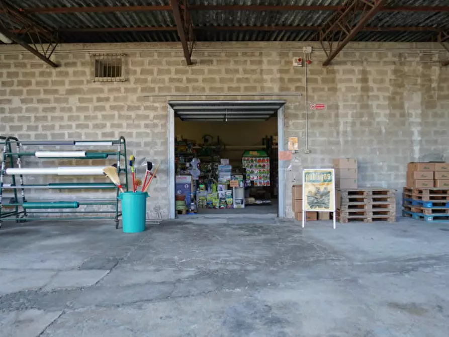 Immagine 15 di Magazzino in vendita  a Arcole