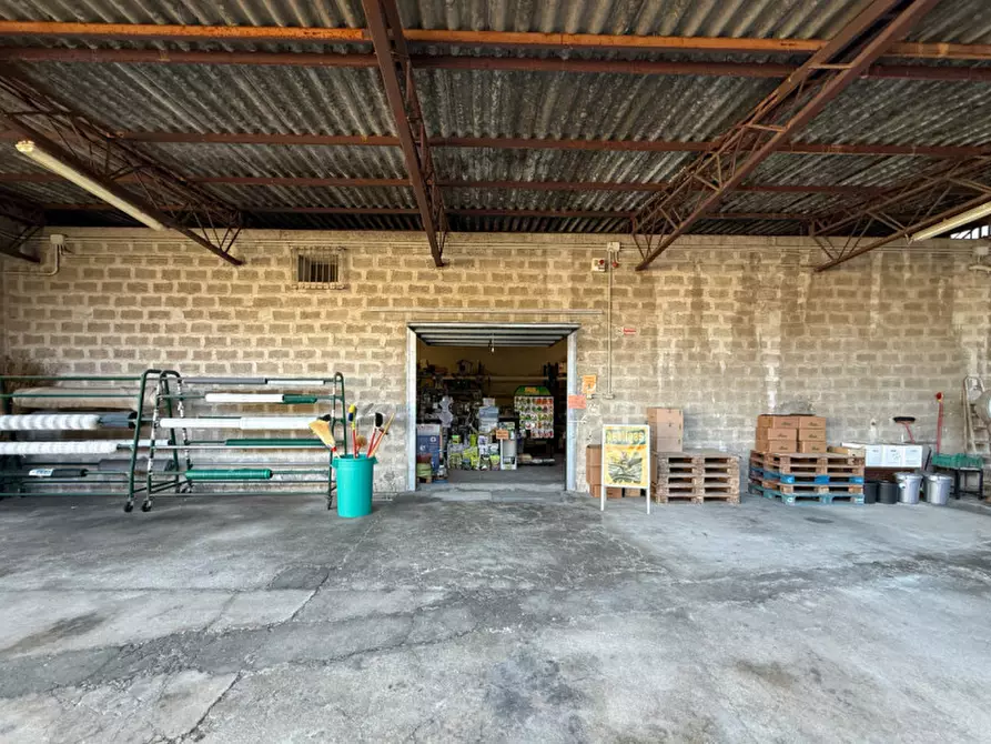 Immagine 17 di Magazzino in vendita  a Arcole