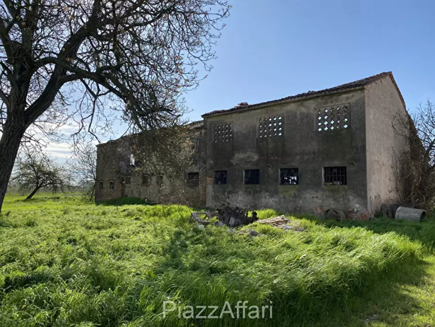 Immagine 4 di Rustico / casale in vendita  in Via Fiumicello a Brugine