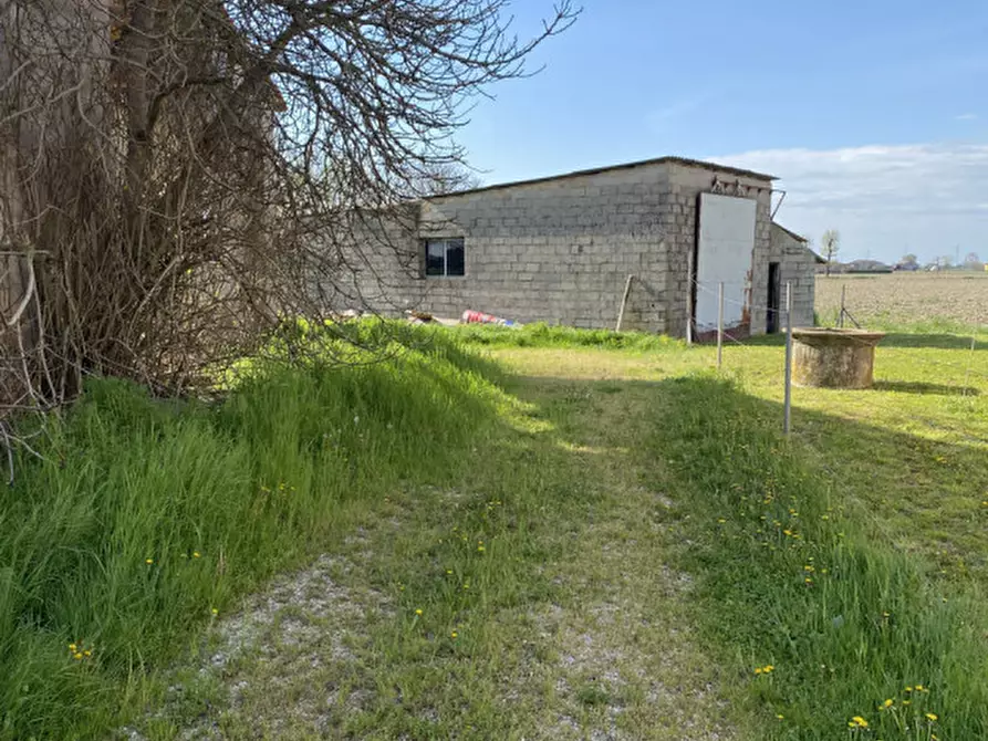 Immagine 5 di Rustico / casale in vendita  in Via Fiumicello a Brugine