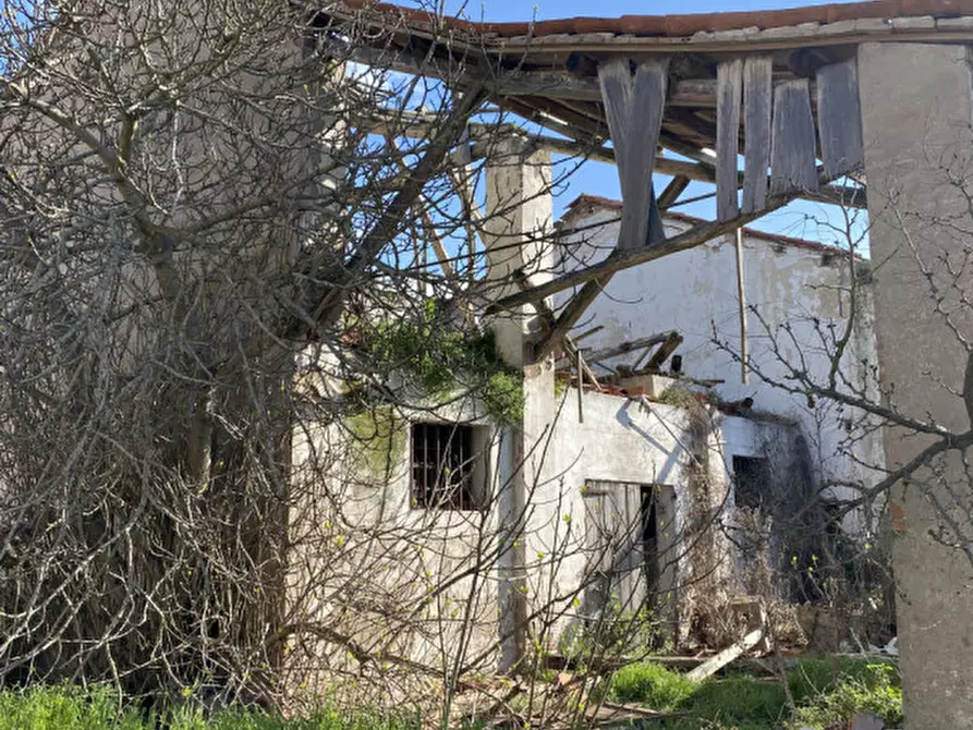 Immagine 6 di Rustico / casale in vendita  in Via Fiumicello a Brugine