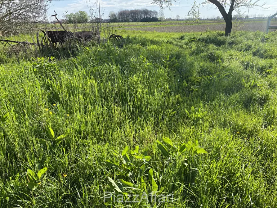 Immagine 14 di Rustico / casale in vendita  in Via Fiumicello a Brugine
