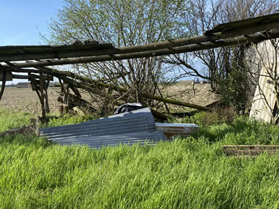 Immagine 18 di Rustico / casale in vendita  in Via Fiumicello a Brugine