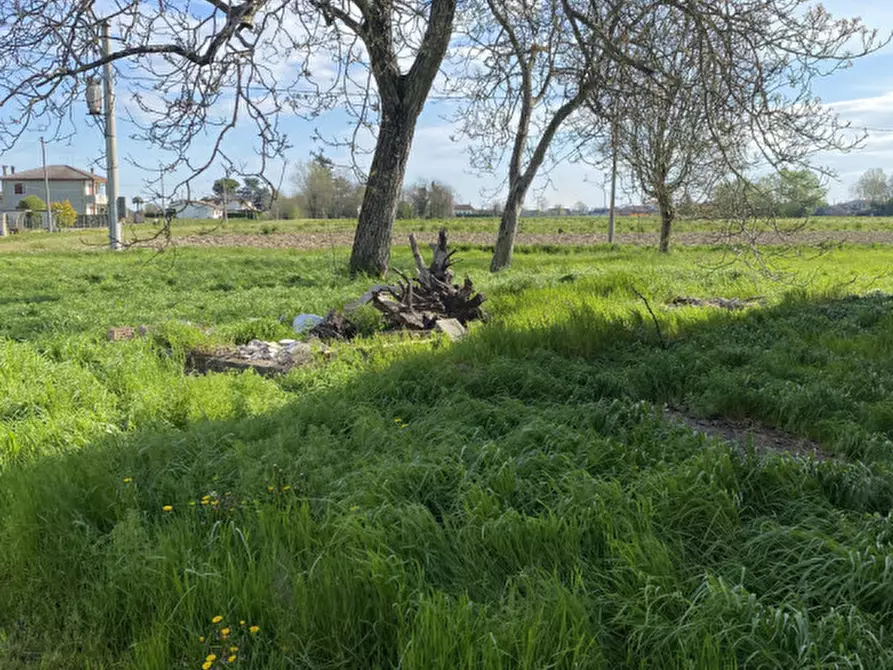 Immagine 20 di Rustico / casale in vendita  in Via Fiumicello a Brugine