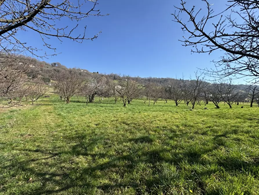 Immagine 2 di Terreno in vendita  a Colceresa
