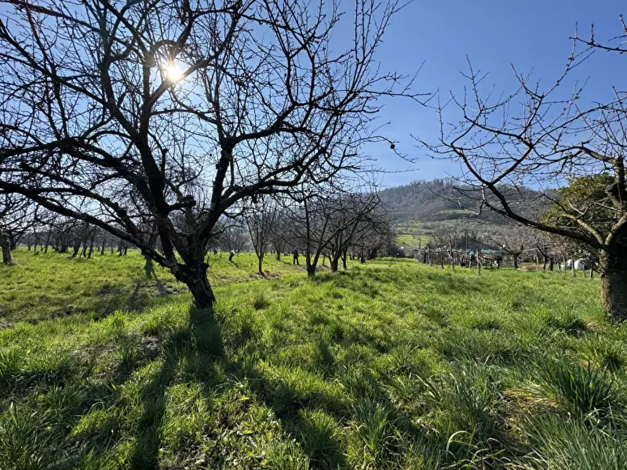 Immagine 3 di Terreno in vendita  a Colceresa