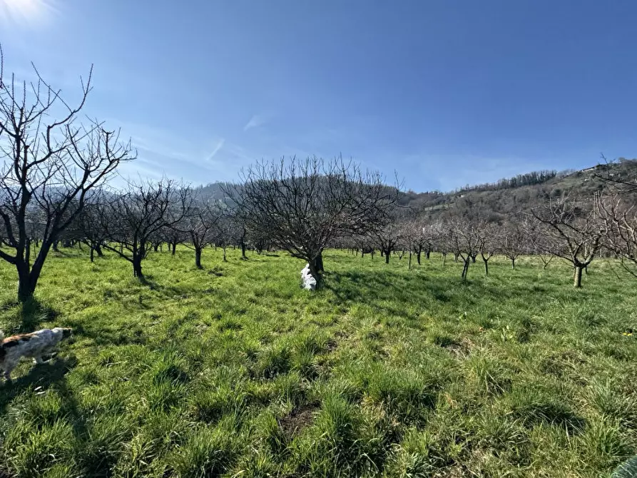 Immagine 5 di Terreno in vendita  a Colceresa