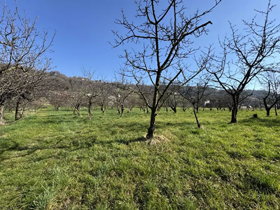 Immagine 6 di Terreno in vendita  a Colceresa