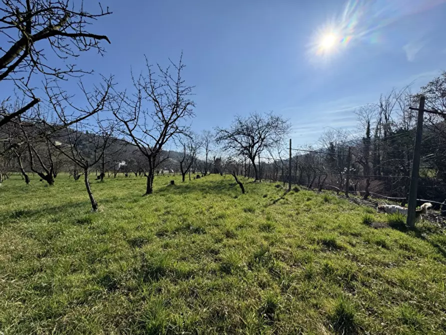 Immagine 7 di Terreno in vendita  a Colceresa