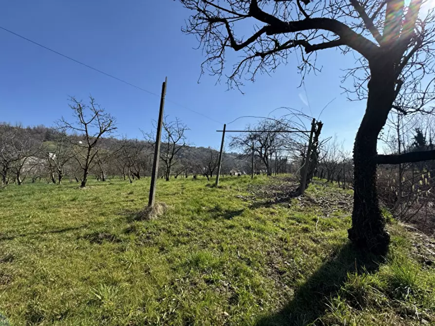 Immagine 8 di Terreno in vendita  a Colceresa