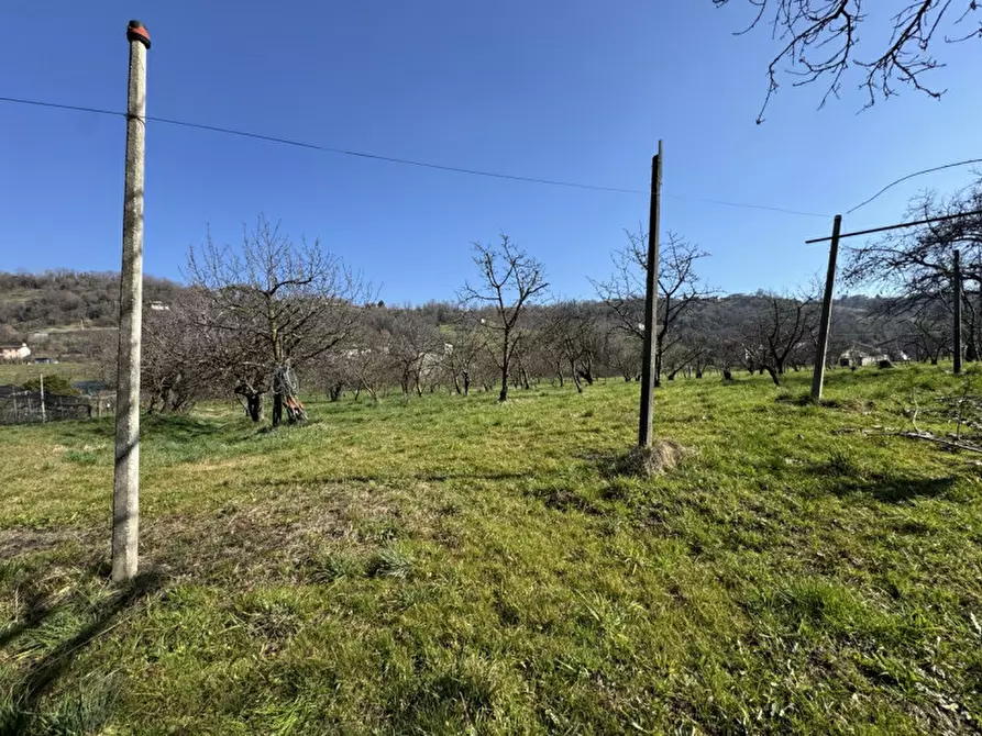 Immagine 9 di Terreno in vendita  a Colceresa