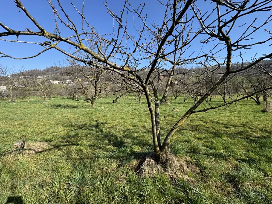 Immagine 10 di Terreno in vendita  a Colceresa