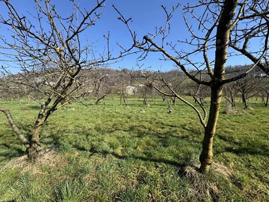 Immagine 11 di Terreno in vendita  a Colceresa