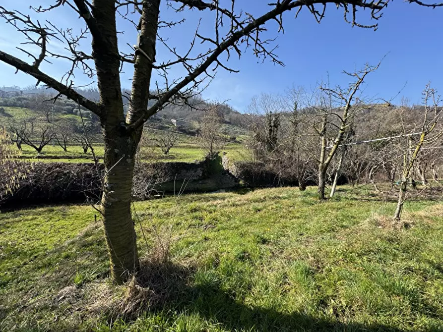 Immagine 12 di Terreno in vendita  a Colceresa