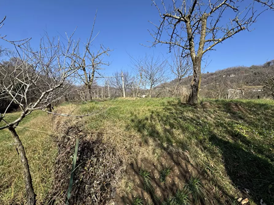 Immagine 13 di Terreno in vendita  a Colceresa