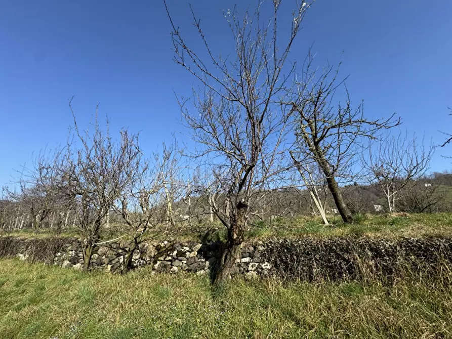 Immagine 16 di Terreno in vendita  a Colceresa