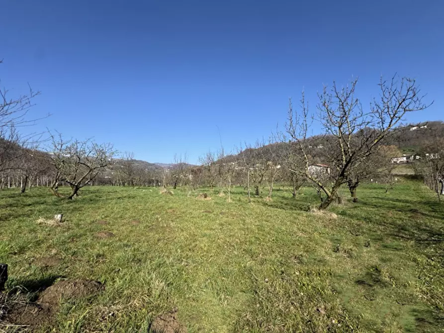 Immagine 17 di Terreno in vendita  a Colceresa