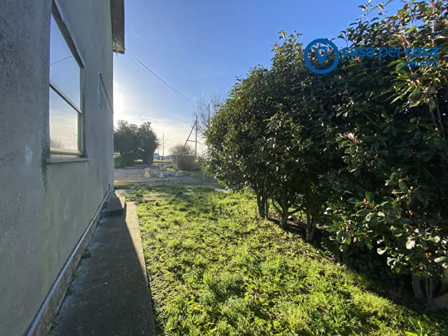 Immagine 36 di Casa indipendente in vendita  in Porto Tolle Via Belfiore a Porto Tolle