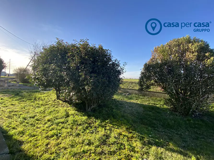 Immagine 38 di Casa indipendente in vendita  in Porto Tolle Via Belfiore a Porto Tolle