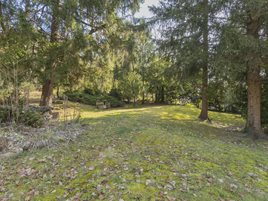 Immagine 82 di Villa in vendita  in via dei faggi 7 a Omegna