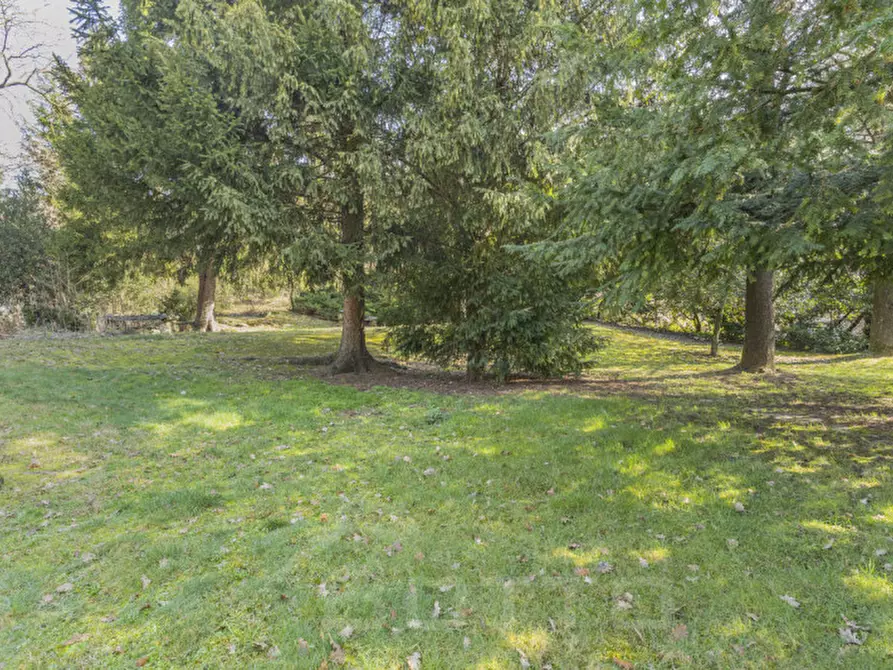 Immagine 83 di Villa in vendita  in via dei faggi 7 a Omegna