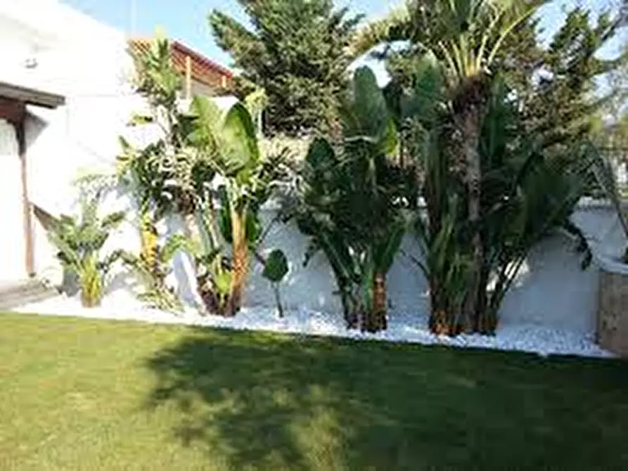 Immagine 1 di Appartamento in vendita  in Via Pelosa a Rubano