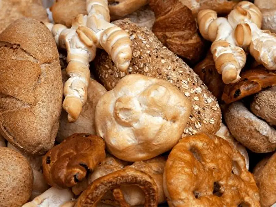 Immagine 1 di Attività commerciale in vendita  a Padova