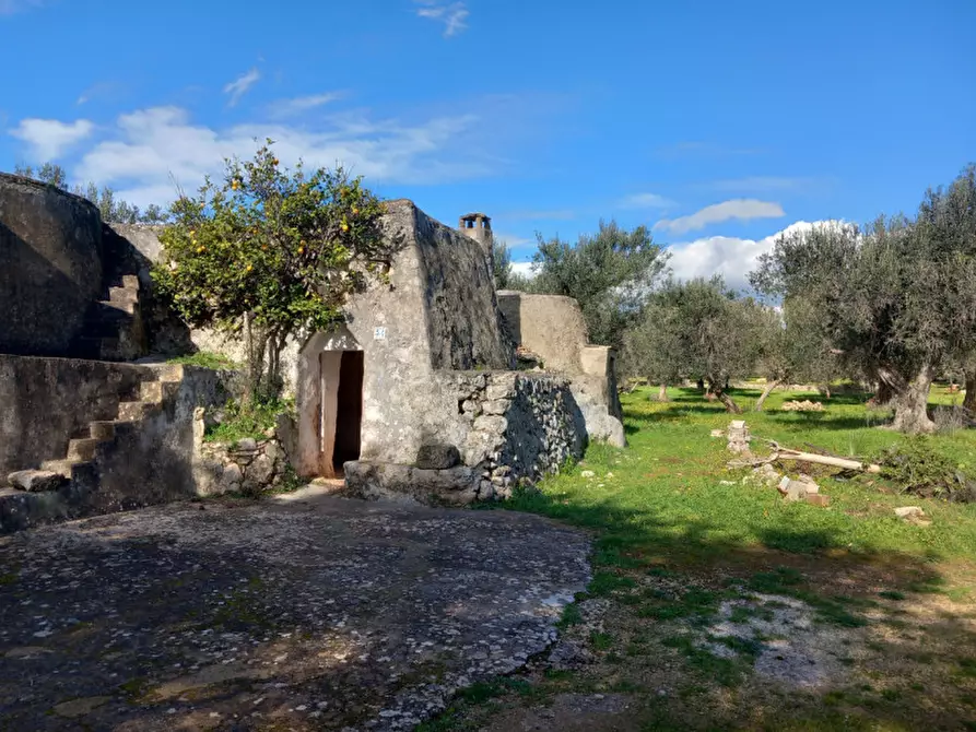 Immagine 3 di Rustico / casale in vendita  in C.da Don Giulio a Francavilla Fontana