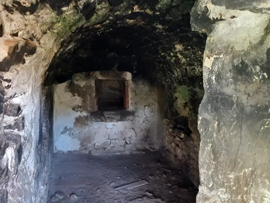 Immagine 4 di Rustico / casale in vendita  in C.da Don Giulio a Francavilla Fontana