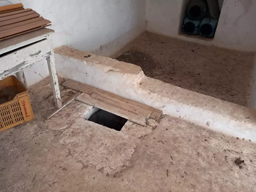 Immagine 14 di Rustico / casale in vendita  in C.da Don Giulio a Francavilla Fontana