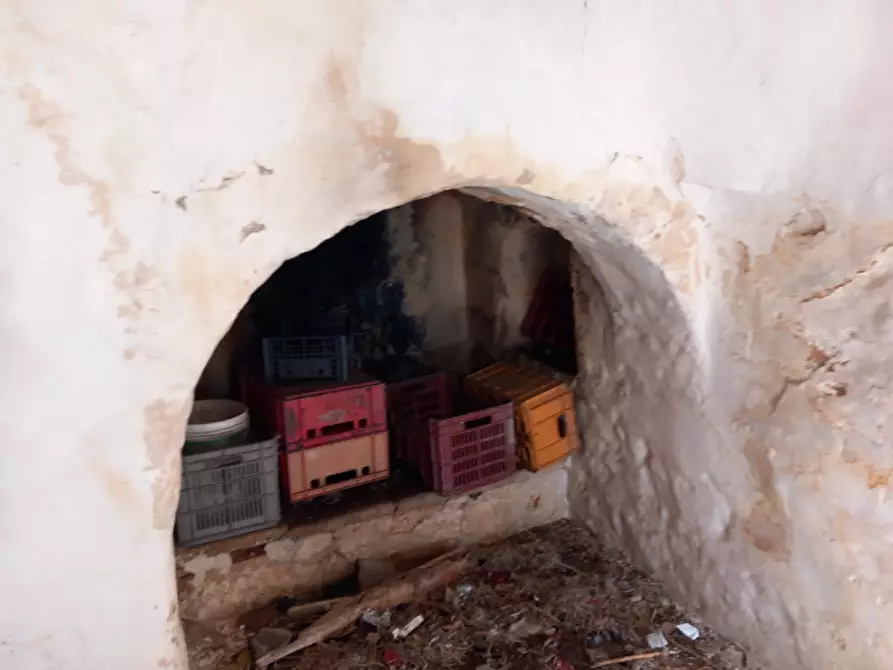 Immagine 15 di Rustico / casale in vendita  in C.da Don Giulio a Francavilla Fontana