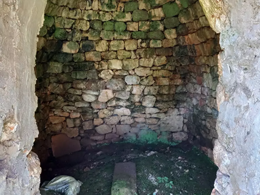 Immagine 16 di Rustico / casale in vendita  in C.da Don Giulio a Francavilla Fontana