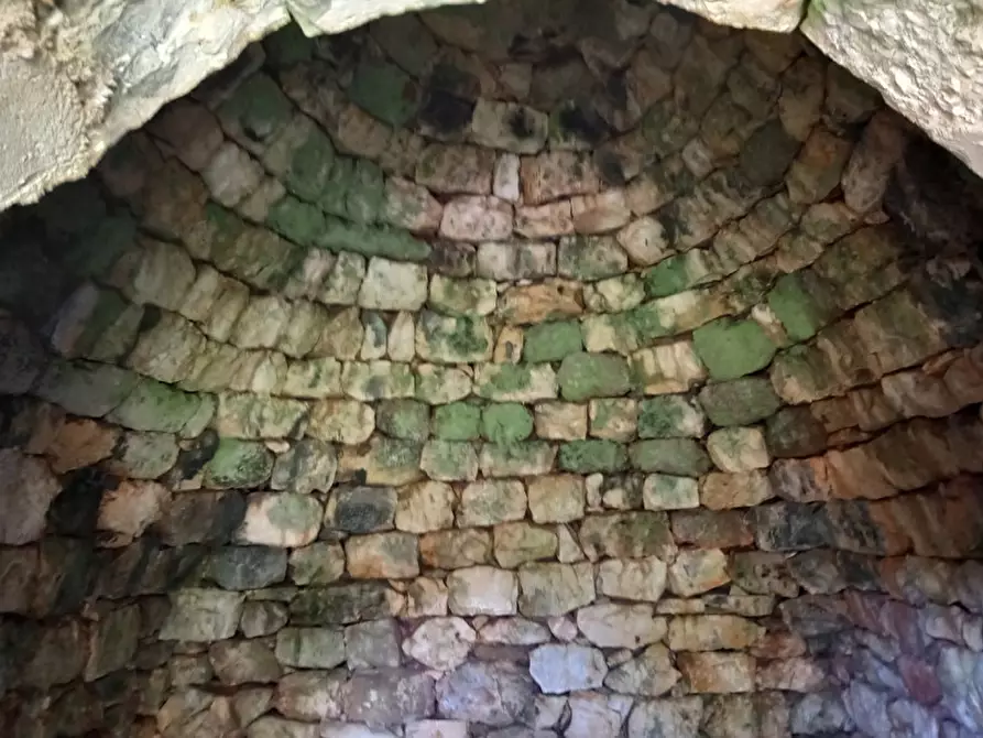 Immagine 17 di Rustico / casale in vendita  in C.da Don Giulio a Francavilla Fontana