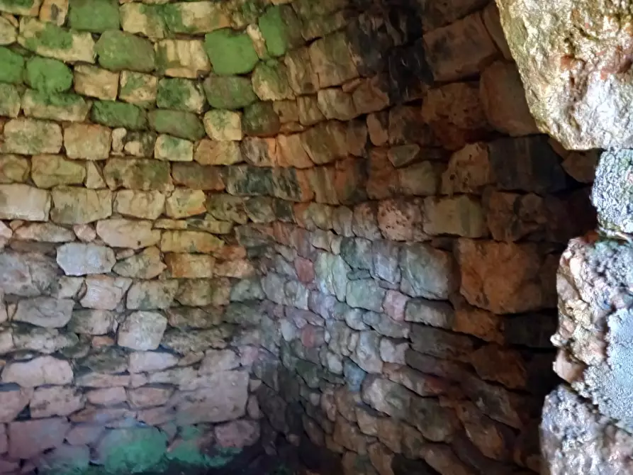 Immagine 19 di Rustico / casale in vendita  in C.da Don Giulio a Francavilla Fontana