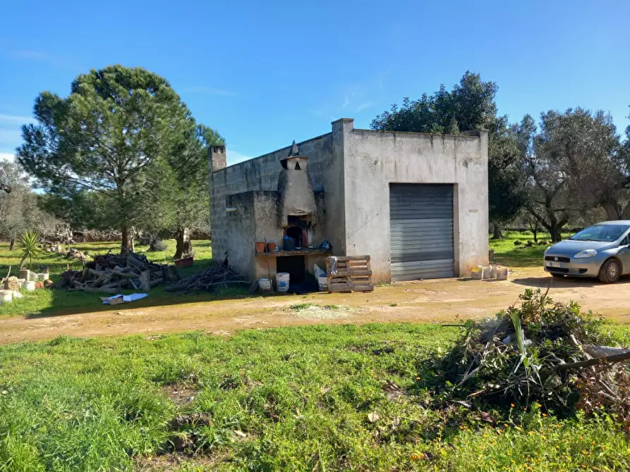 Immagine 22 di Rustico / casale in vendita  in C.da Don Giulio a Francavilla Fontana