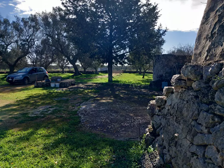 Immagine 23 di Rustico / casale in vendita  in C.da Don Giulio a Francavilla Fontana