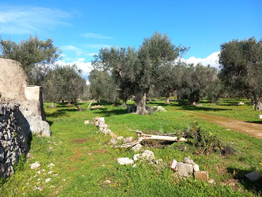 Immagine 24 di Rustico / casale in vendita  in C.da Don Giulio a Francavilla Fontana