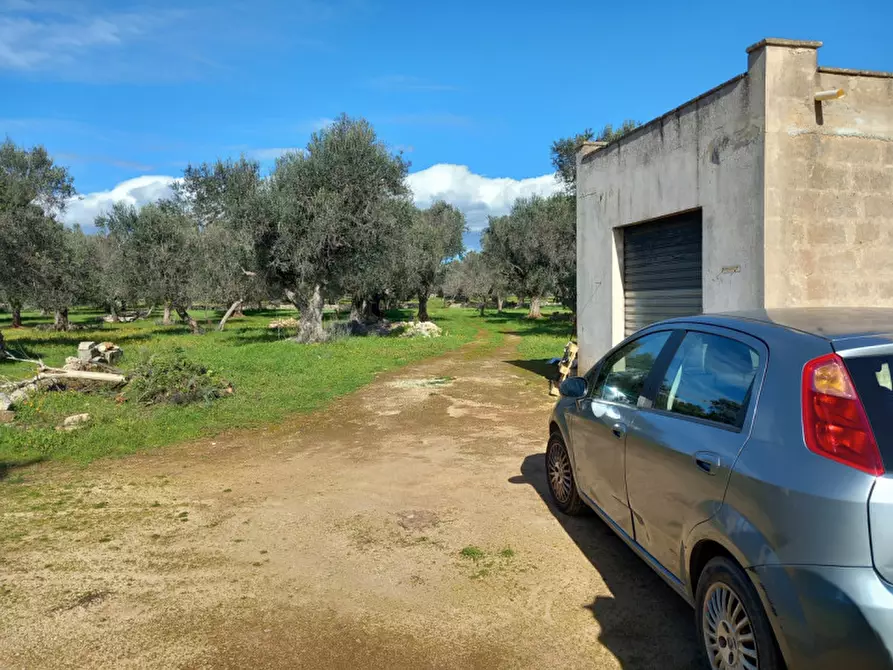Immagine 27 di Rustico / casale in vendita  in C.da Don Giulio a Francavilla Fontana