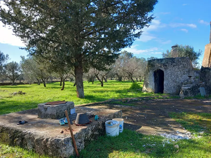 Immagine 29 di Rustico / casale in vendita  in C.da Don Giulio a Francavilla Fontana