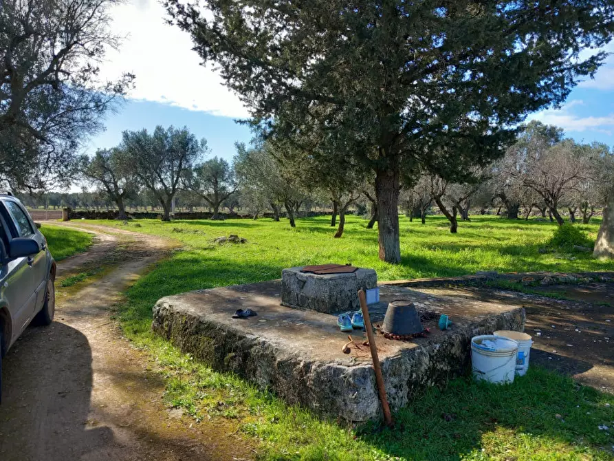 Immagine 30 di Rustico / casale in vendita  in C.da Don Giulio a Francavilla Fontana