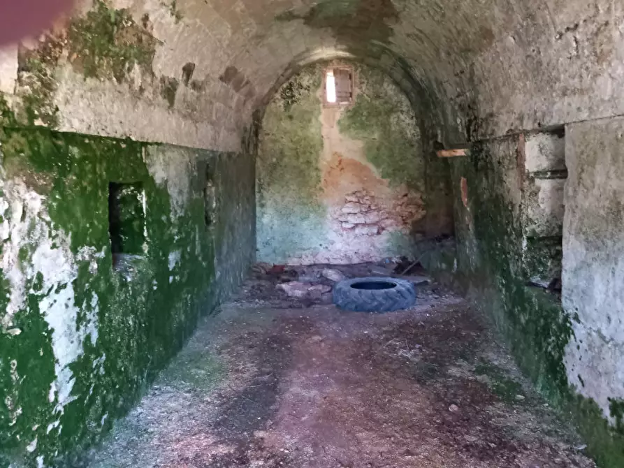 Immagine 32 di Rustico / casale in vendita  in C.da Don Giulio a Francavilla Fontana