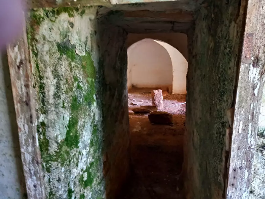 Immagine 34 di Rustico / casale in vendita  in C.da Don Giulio a Francavilla Fontana