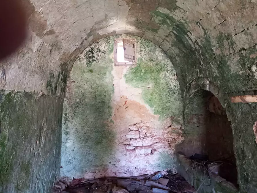 Immagine 35 di Rustico / casale in vendita  in C.da Don Giulio a Francavilla Fontana