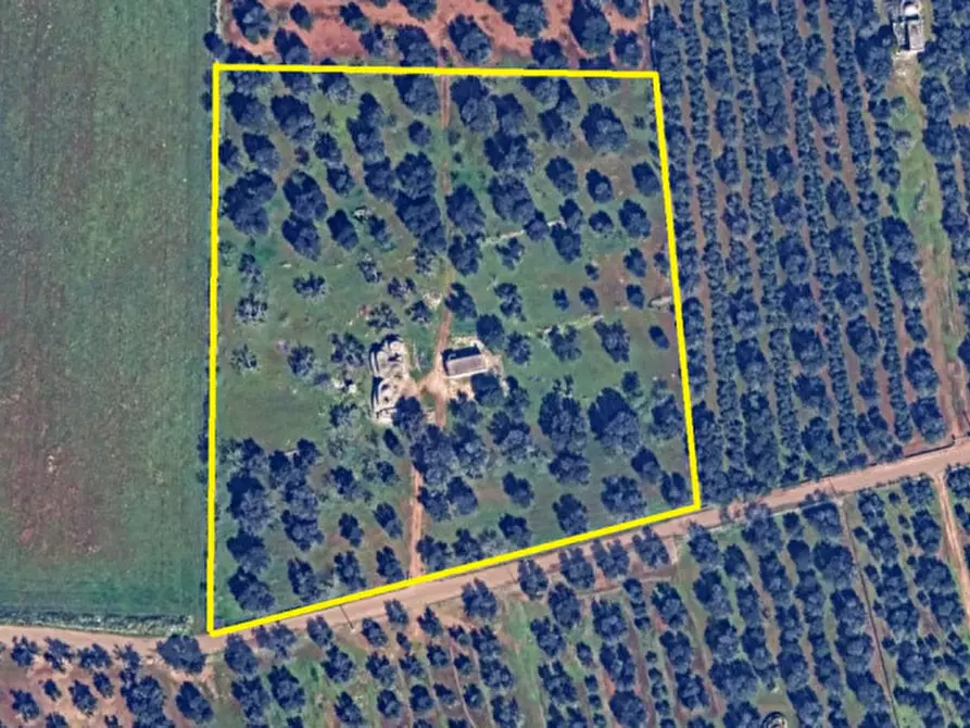 Immagine 37 di Rustico / casale in vendita  in C.da Don Giulio a Francavilla Fontana